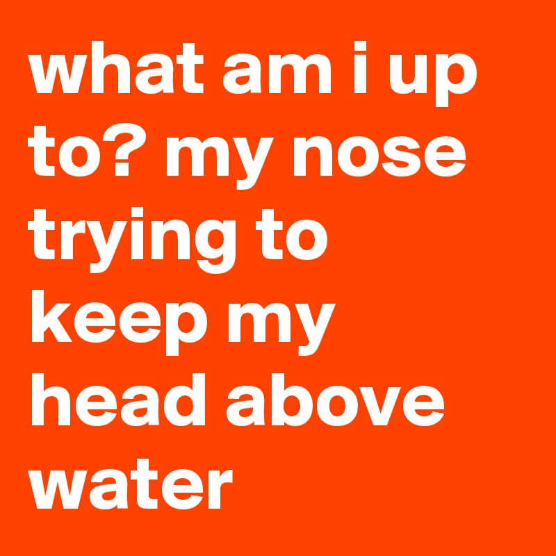 what am i up to? my nose trying to keep my head above water