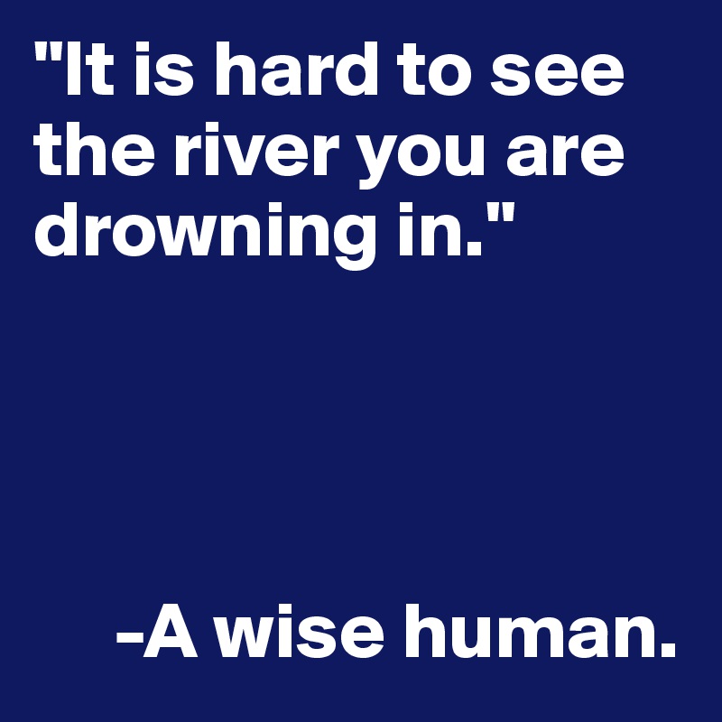 "It is hard to see the river you are drowning in."    



      
     -A wise human.