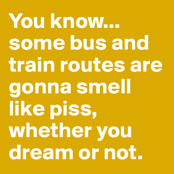 You know... some bus and train routes are gonna smell like piss, whether you dream or not.