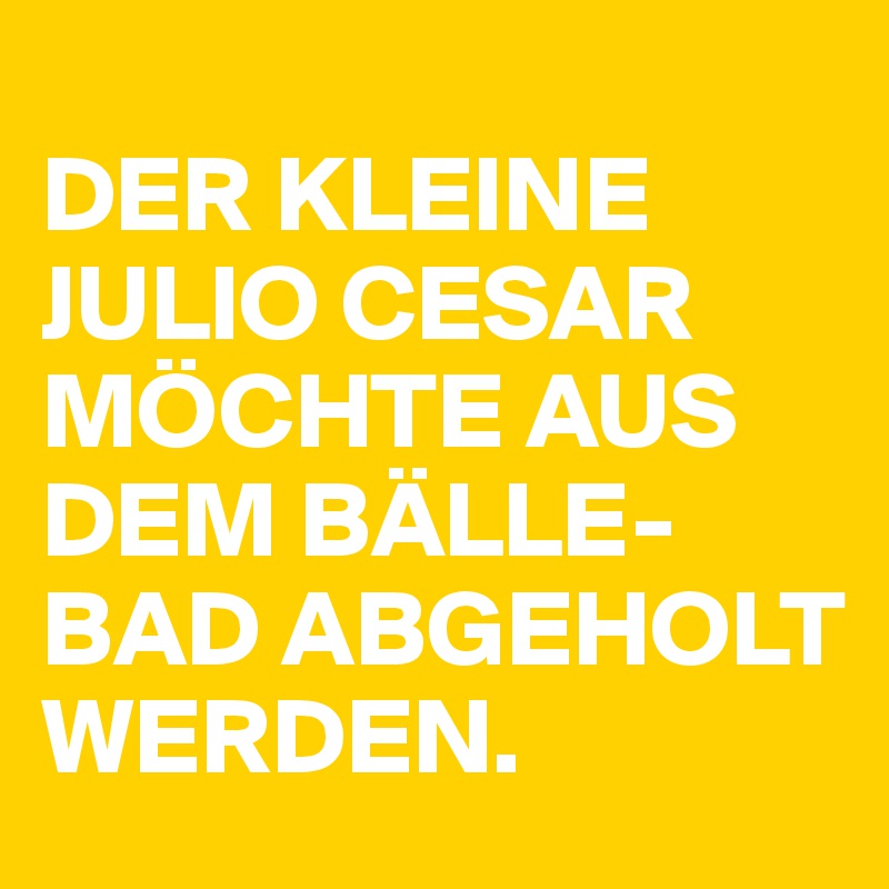 
DER KLEINE JULIO CESAR MÖCHTE AUS DEM BÄLLE-BAD ABGEHOLT WERDEN.