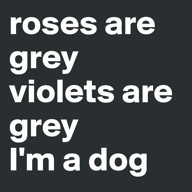 roses are grey
violets are grey
I'm a dog