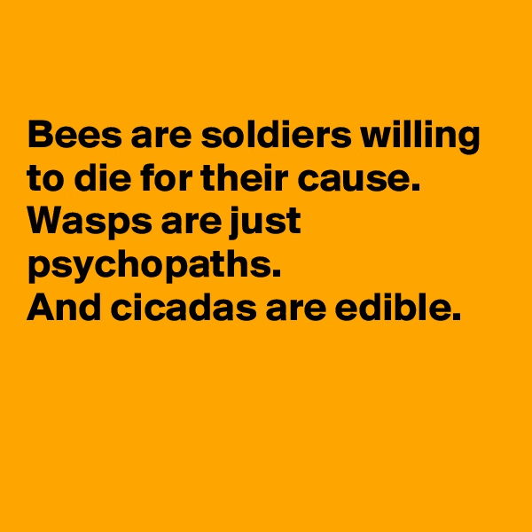 

Bees are soldiers willing to die for their cause. 
Wasps are just psychopaths.
And cicadas are edible.



