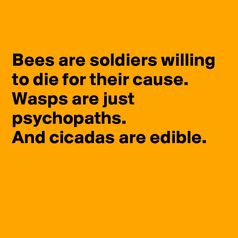 

Bees are soldiers willing to die for their cause. 
Wasps are just psychopaths.
And cicadas are edible.



