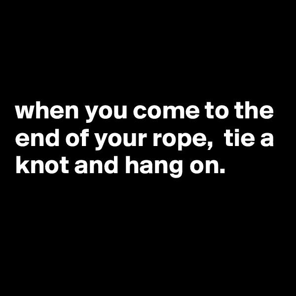 


when you come to the end of your rope,  tie a knot and hang on.


