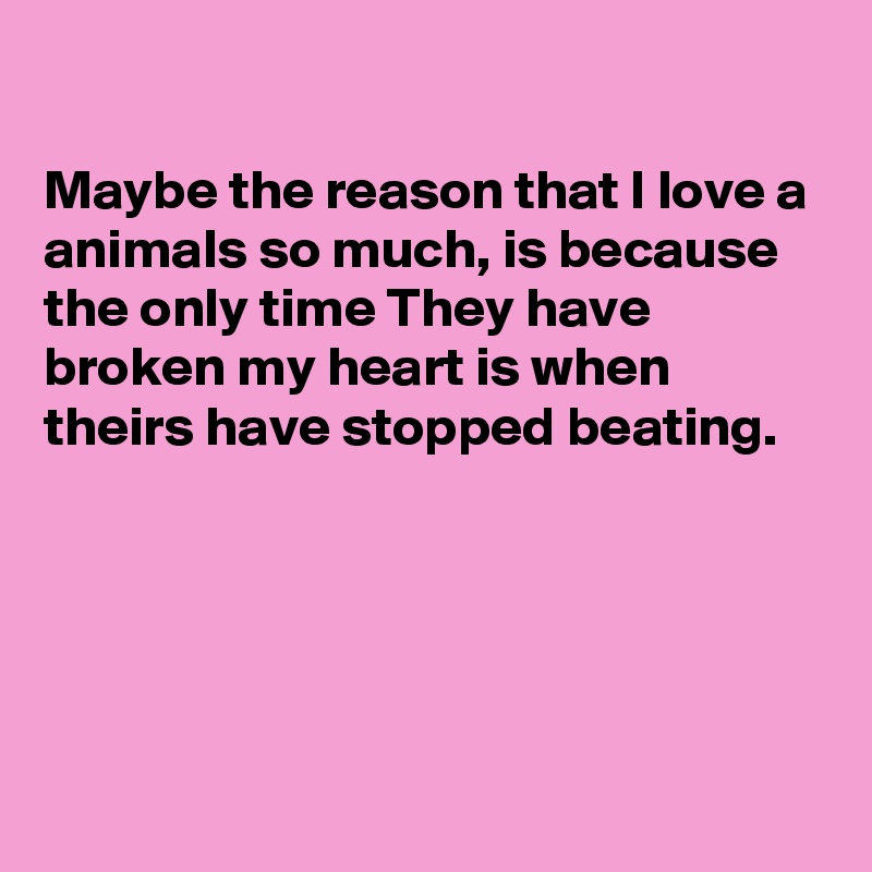 

Maybe the reason that I love a animals so much, is because the only time They have broken my heart is when theirs have stopped beating.





