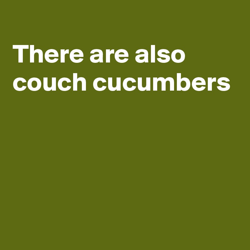 
There are also
couch cucumbers



