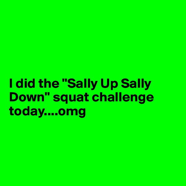 




I did the "Sally Up Sally Down" squat challenge today....omg



