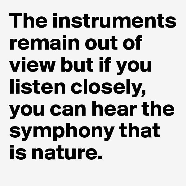 The instruments remain out of view but if you listen closely, you can hear the symphony that is nature.