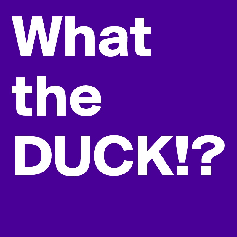 What the DUCK!?
