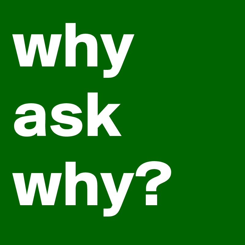why ask why?
