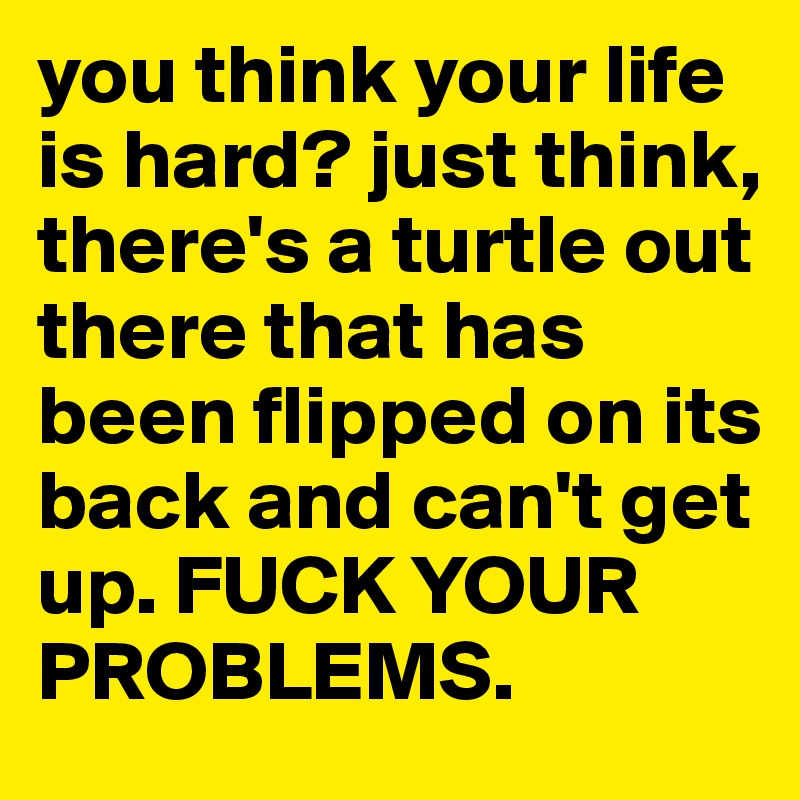 you think your life is hard? just think, there's a turtle out there that has been flipped on its back and can't get up. FUCK YOUR PROBLEMS.
