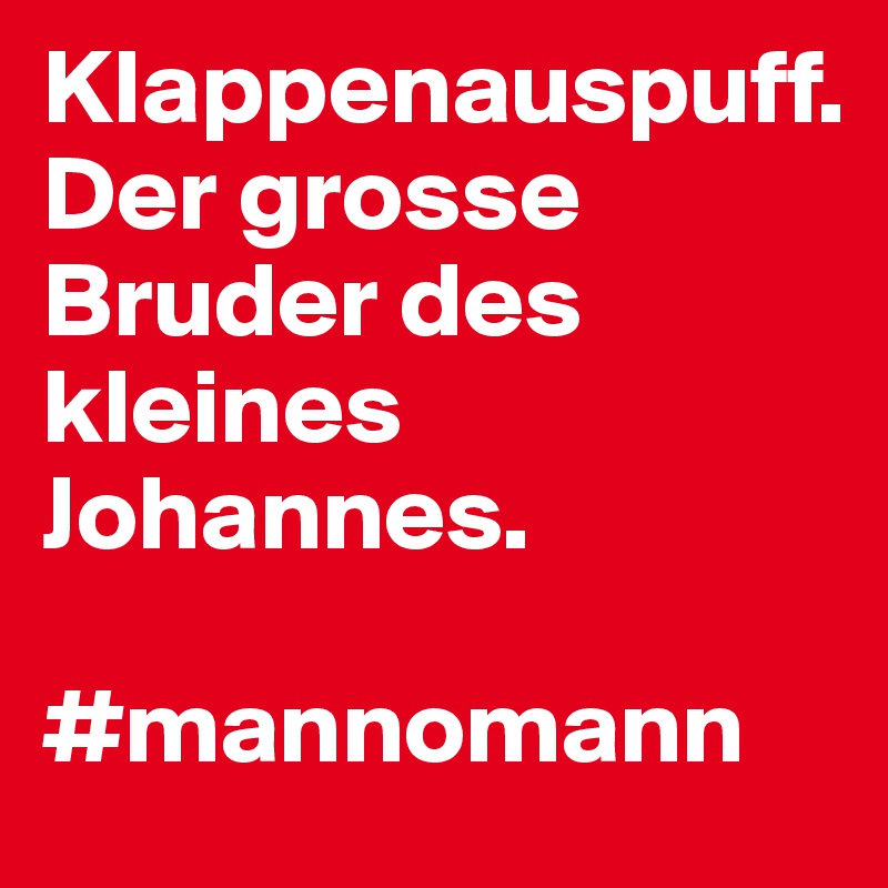 Klappenauspuff. 
Der grosse Bruder des kleines Johannes. 

#mannomann