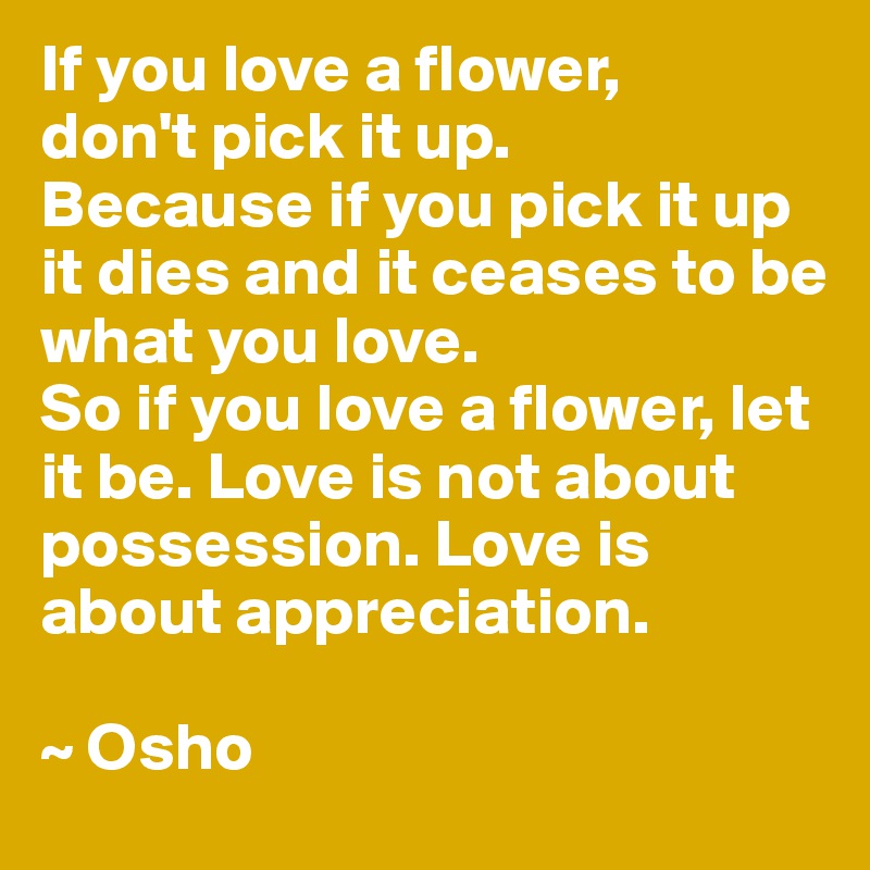 If you love a flower, 
don't pick it up. 
Because if you pick it up it dies and it ceases to be 
what you love. 
So if you love a flower, let it be. Love is not about possession. Love is about appreciation.

~ Osho