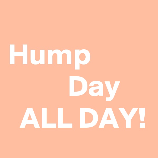 
Hump
          Day
  ALL DAY!