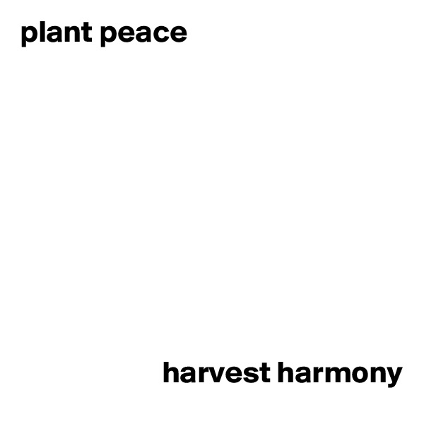 plant peace










                       harvest harmony