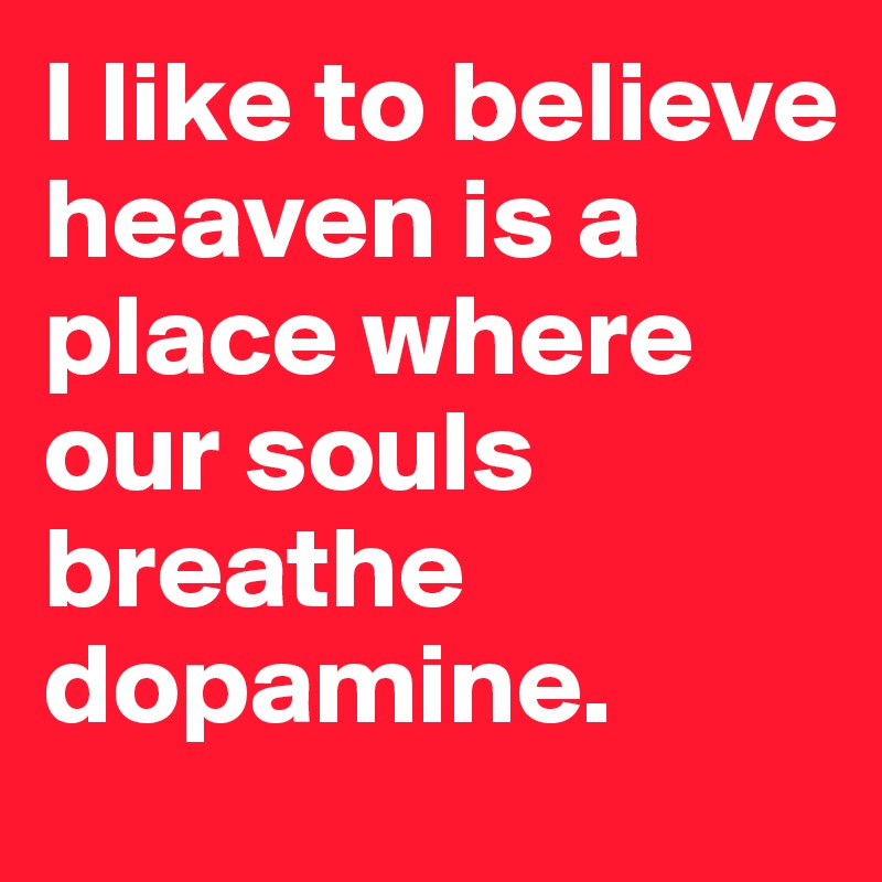 I like to believe heaven is a place where our souls breathe dopamine. 