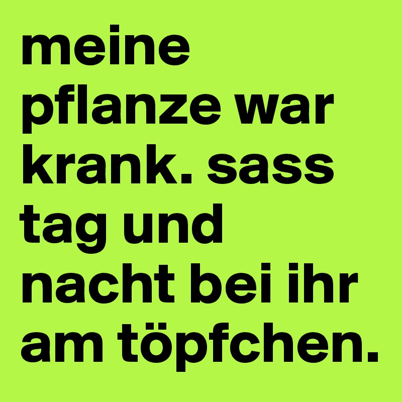 meine pflanze war krank. sass tag und nacht bei ihr am töpfchen.