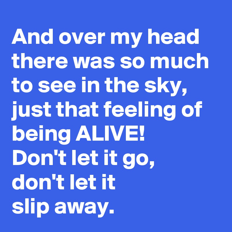 And over my head
there was so much to see in the sky,
just that feeling of being ALIVE!
Don't let it go,
don't let it
slip away.