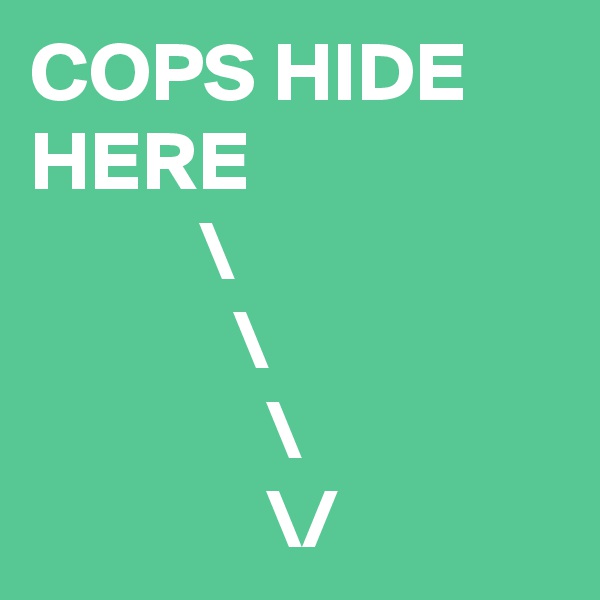 COPS HIDE HERE
          \
            \
              \
              \/