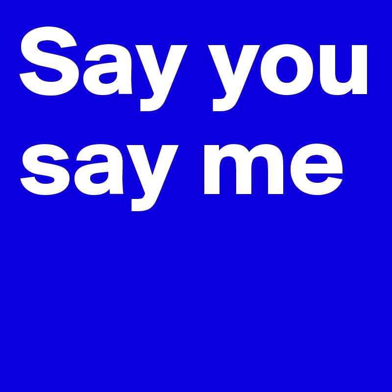 Say you say me