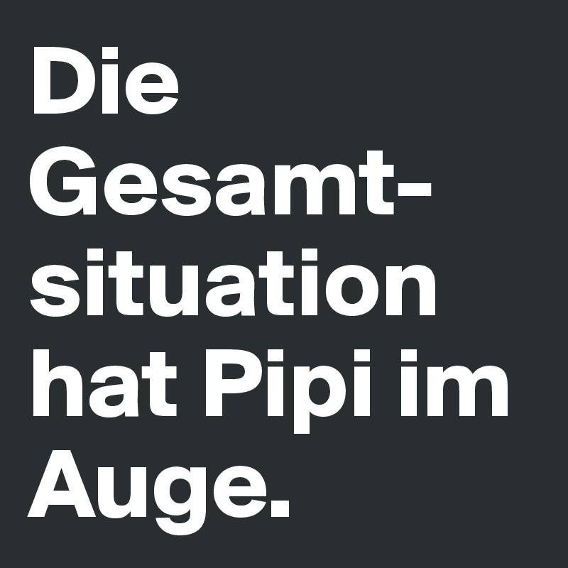 Die Gesamt-situation hat Pipi im Auge.