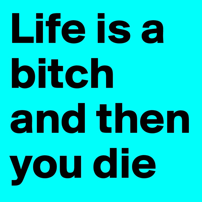 Life is a bitch and then you die