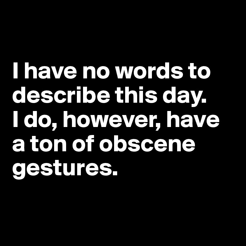 

I have no words to describe this day. 
I do, however, have a ton of obscene gestures.


