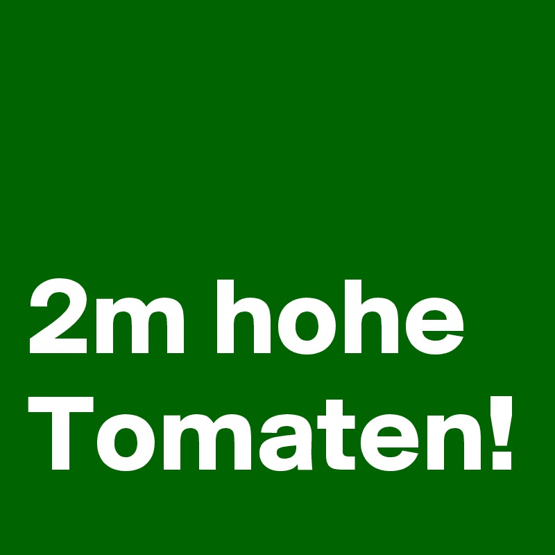 

2m hohe Tomaten!