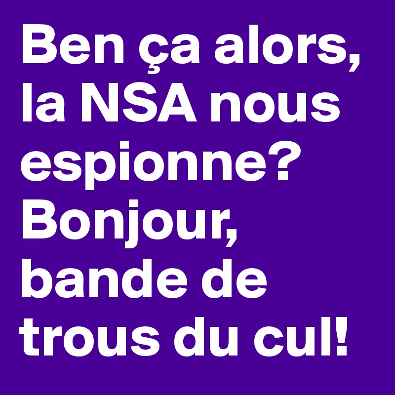 Ben ça alors, la NSA nous espionne?
Bonjour, bande de trous du cul!