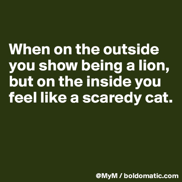 

When on the outside you show being a lion, but on the inside you feel like a scaredy cat.



