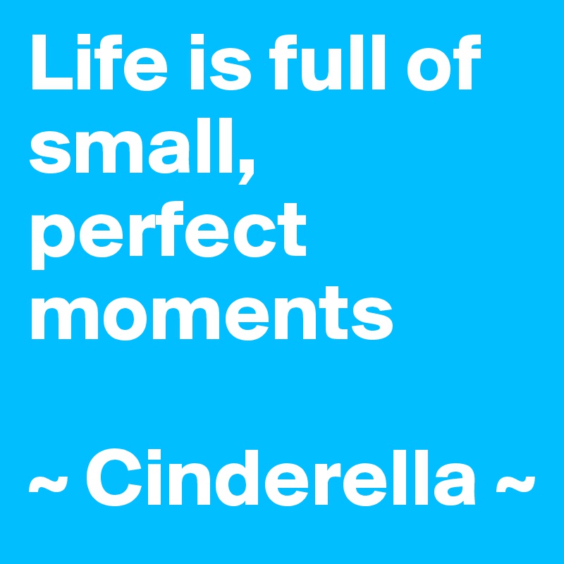 Life is full of small, perfect moments

~ Cinderella ~