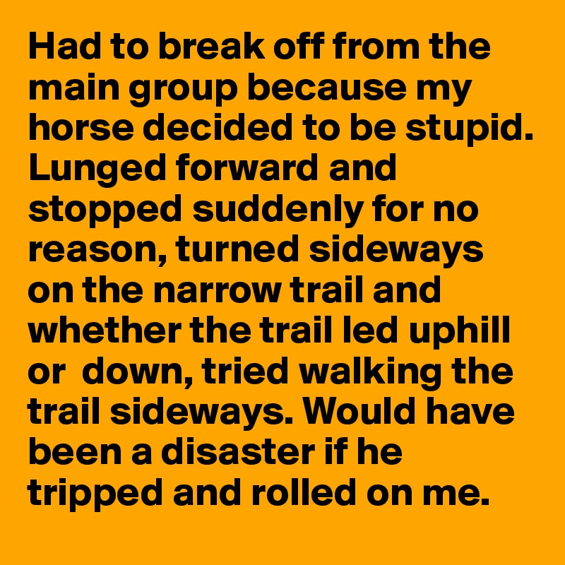 Had to break off from the main group because my horse decided to be stupid. Lunged forward and stopped suddenly for no reason, turned sideways on the narrow trail and whether the trail led uphill or  down, tried walking the trail sideways. Would have been a disaster if he tripped and rolled on me. 