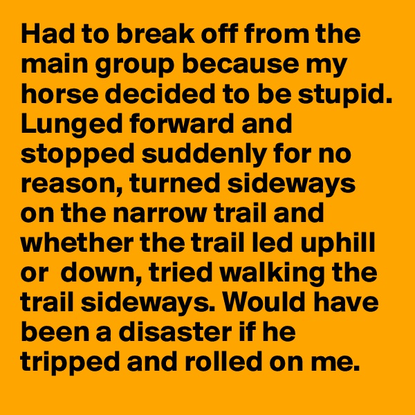 Had to break off from the main group because my horse decided to be stupid. Lunged forward and stopped suddenly for no reason, turned sideways on the narrow trail and whether the trail led uphill or  down, tried walking the trail sideways. Would have been a disaster if he tripped and rolled on me. 