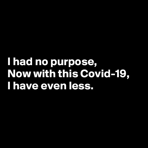 



I had no purpose,
Now with this Covid-19,
I have even less.



