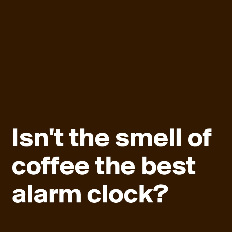 



Isn't the smell of coffee the best alarm clock?