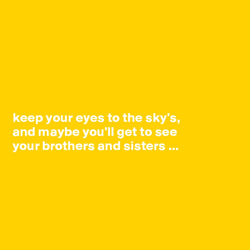 






keep your eyes to the sky's,
and maybe you'll get to see 
your brothers and sisters ...





