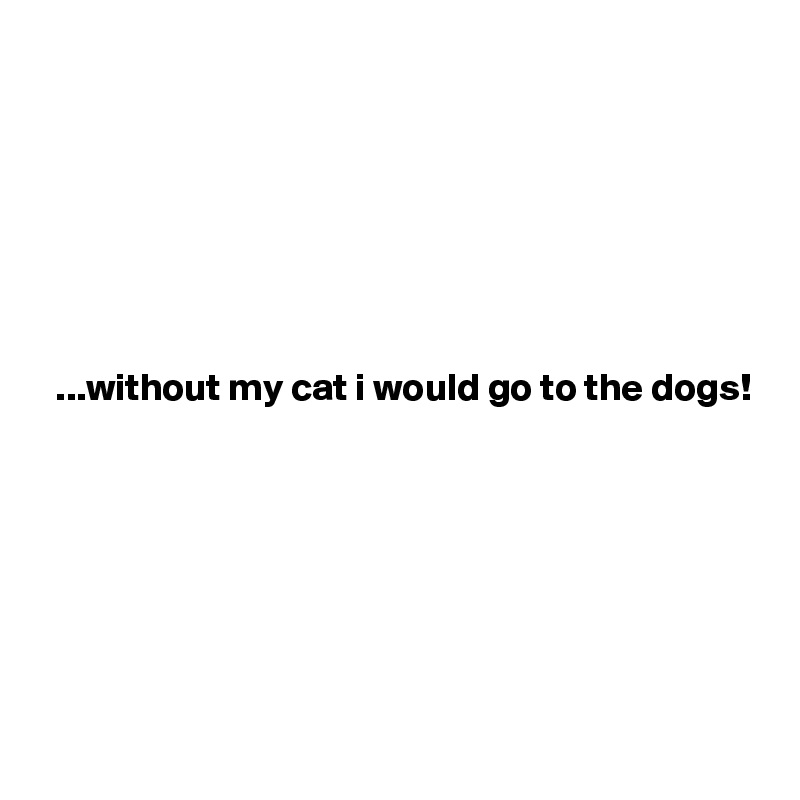 







  ...without my cat i would go to the dogs!







