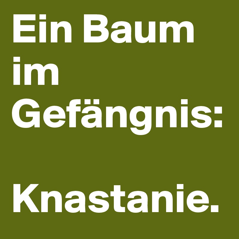 Ein Baum im Gefängnis: 

Knastanie.