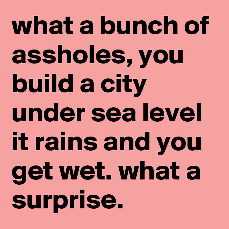 what a bunch of assholes, you build a city under sea level it rains and you get wet. what a surprise.