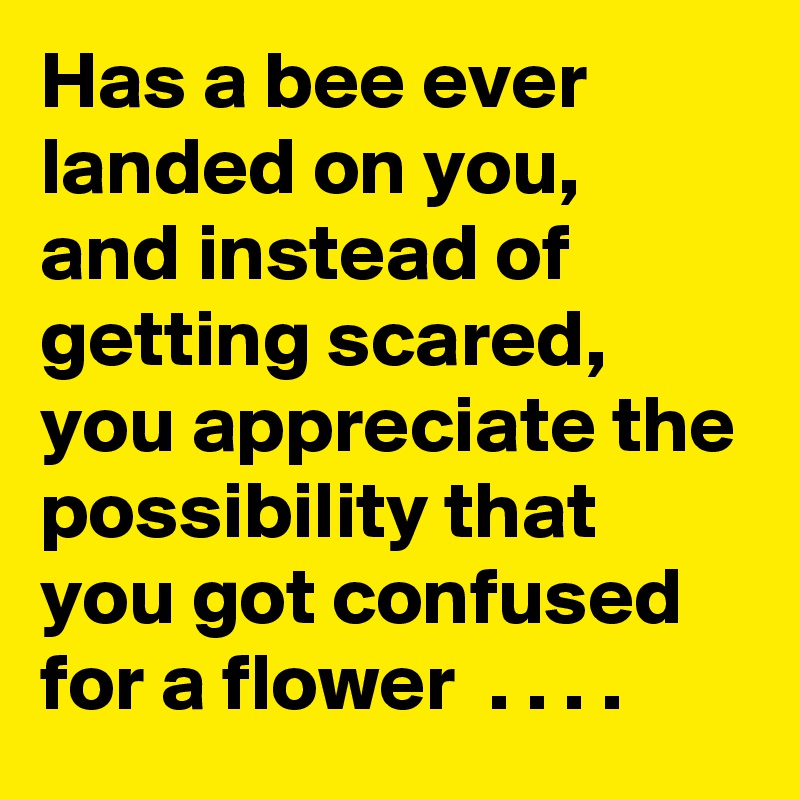 Has a bee ever landed on you,  and instead of getting scared,  you appreciate the possibility that you got confused for a flower  . . . .  