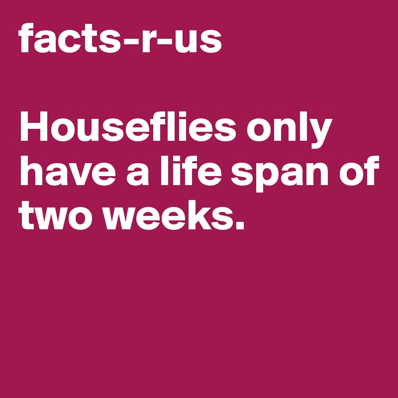 facts-r-us

Houseflies only have a life span of two weeks.


