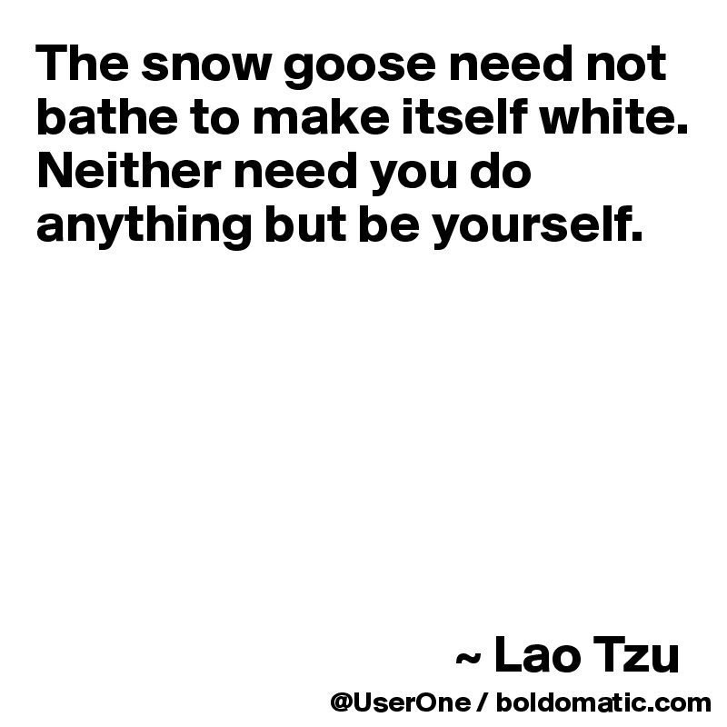 The snow goose need not bathe to make itself white. Neither need you do anything but be yourself.







                                       ~ Lao Tzu