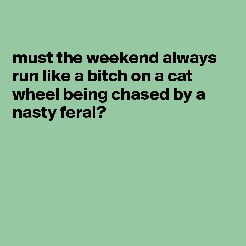 

must the weekend always run like a bitch on a cat wheel being chased by a nasty feral?





  
