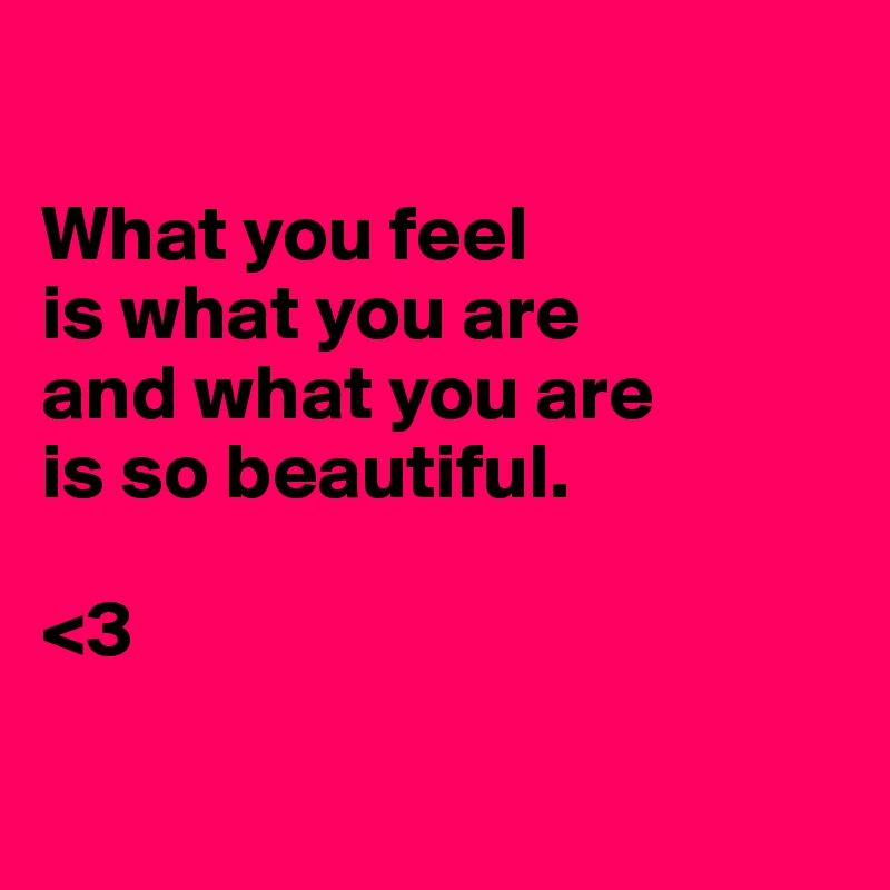 	
 	
What you feel
is what you are
and what you are
is so beautiful.
 
<3 
 
