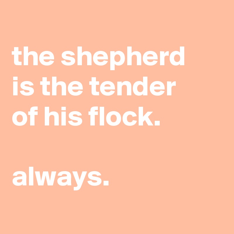 
the shepherd
is the tender
of his flock.

always.
