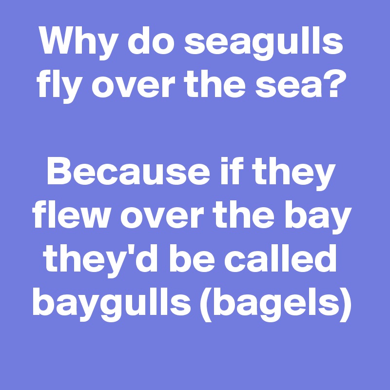 Why do seagulls fly over the sea?

Because if they flew over the bay they'd be called baygulls (bagels)
 