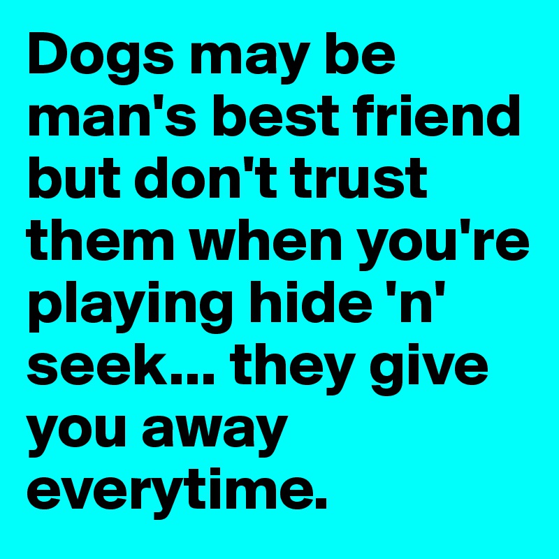 Dogs may be man's best friend but don't trust them when you're playing hide 'n' seek... they give you away everytime.