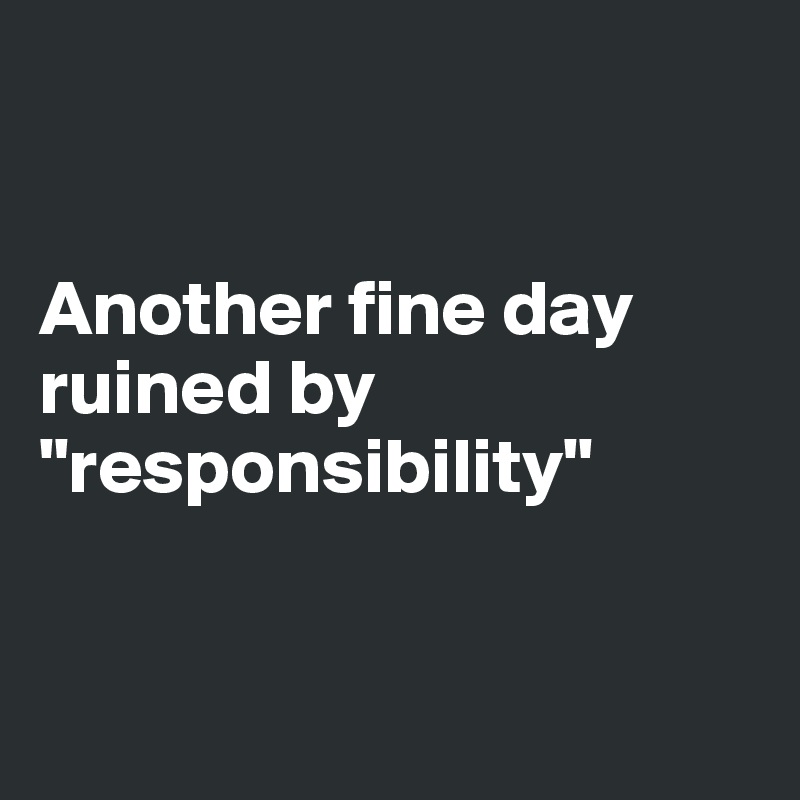 


Another fine day ruined by "responsibility"


