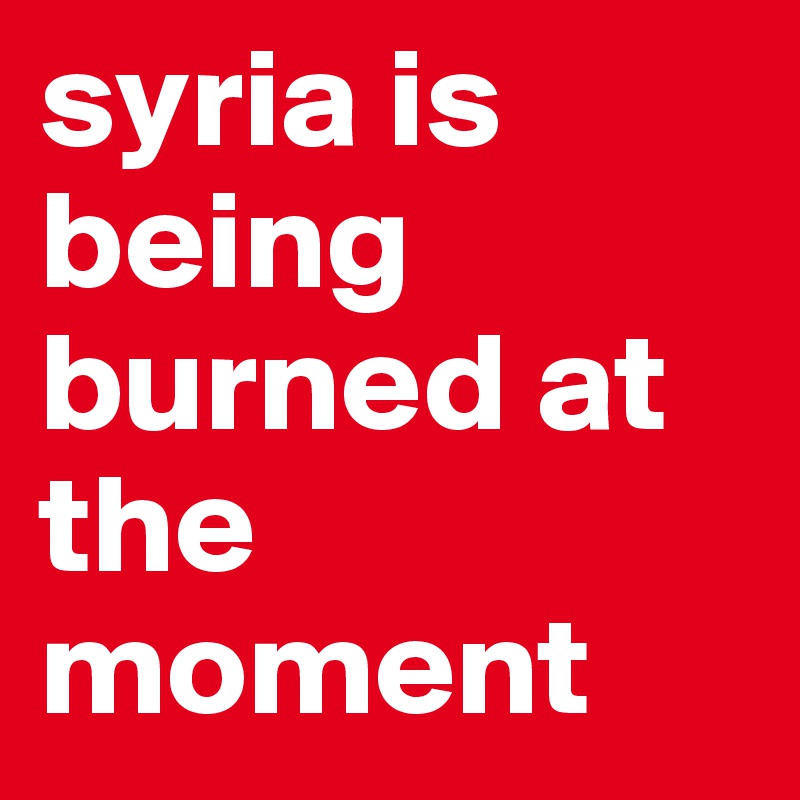 syria is being burned at the moment 