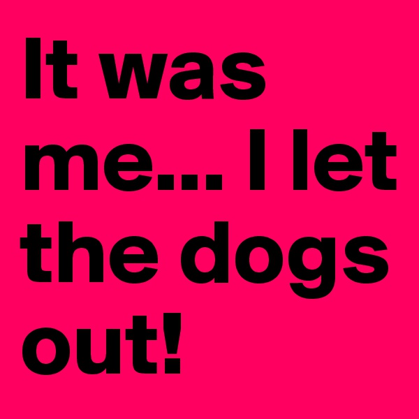 It was me... I let the dogs out! 